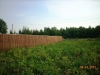 /photos/24915.jpg?w=640&h=480