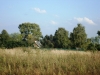 /photos/24955.jpg?w=640&h=480