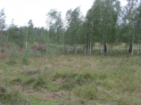 /photos/24965.jpg?w=640&h=480