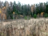 /photos/25008.jpg?w=640&h=480