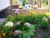 /photos/25127.jpg?w=640&h=480