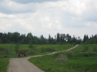 /photos/25515.jpg?w=640&h=480