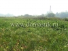 /photos/25643.jpg?w=640&h=480
