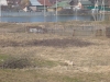 /photos/25730.jpg?w=640&h=480
