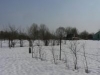 /photos/26118.jpg?w=640&h=480