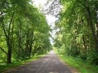 /photos/26300.jpg?w=640&h=480