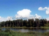 /photos/26356.jpg?w=640&h=480
