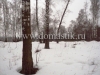 /photos/26544.jpg?w=640&h=480