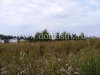 /photos/26745.jpg?w=640&h=480