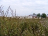/photos/26746.jpg?w=640&h=480