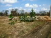 /photos/27079.jpg?w=640&h=480