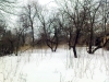 /photos/27717.jpg?w=640&h=480