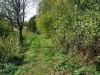 /photos/27720.jpg?w=640&h=480