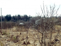 /photos/27739.jpg?w=640&h=480