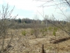 /photos/27740.jpg?w=640&h=480