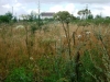 /photos/27809.jpg?w=640&h=480