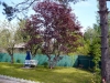 /photos/27882.jpg?w=640&h=480