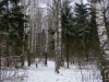 /photos/27956.jpg?w=640&h=480