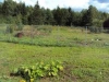 /photos/28811.jpg?w=640&h=480