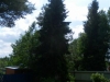 /photos/30630.jpg?w=640&h=480