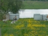 /photos/30790.jpg?w=640&h=480