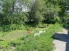 /photos/30842.jpg?w=640&h=480