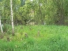 /photos/30900.jpg?w=640&h=480