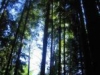 /photos/30918.jpg?w=640&h=480