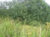 /photos/30951.jpg?w=640&h=480