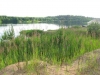 /photos/31036.jpg?w=640&h=480