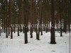 /photos/31521.jpg?w=640&h=480