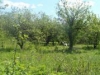 /photos/32555.jpg?w=640&h=480