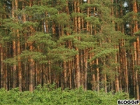 /photos/32906.jpg?w=640&h=480
