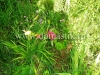 /photos/33016.jpg?w=640&h=480