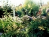 /photos/33488.jpg?w=640&h=480