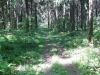 /photos/33834.jpg?w=640&h=480