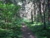 /photos/33843.jpg?w=640&h=480