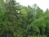 /photos/37493.jpg?w=640&h=480