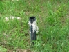 /photos/37495.jpg?w=640&h=480