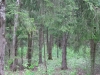 /photos/37496.jpg?w=640&h=480