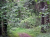 /photos/37822.jpg?w=640&h=480