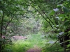 /photos/37823.jpg?w=640&h=480