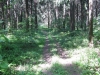 /photos/38815.jpg?w=640&h=480