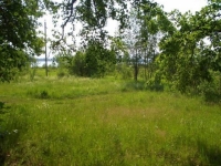 /photos/39326.jpg?w=640&h=480