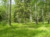 /photos/39328.jpg?w=640&h=480
