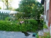 /photos/4000.jpg?w=640&h=480