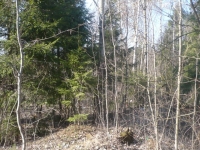 /photos/40440.jpg?w=640&h=480