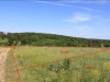 /photos/43304.jpg?w=640&h=480