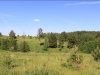 /photos/43305.jpg?w=640&h=480