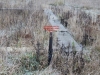 /photos/43434.jpg?w=640&h=480